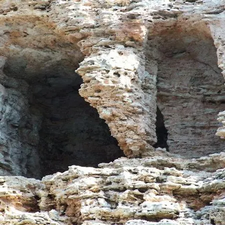 Stefi שבלה